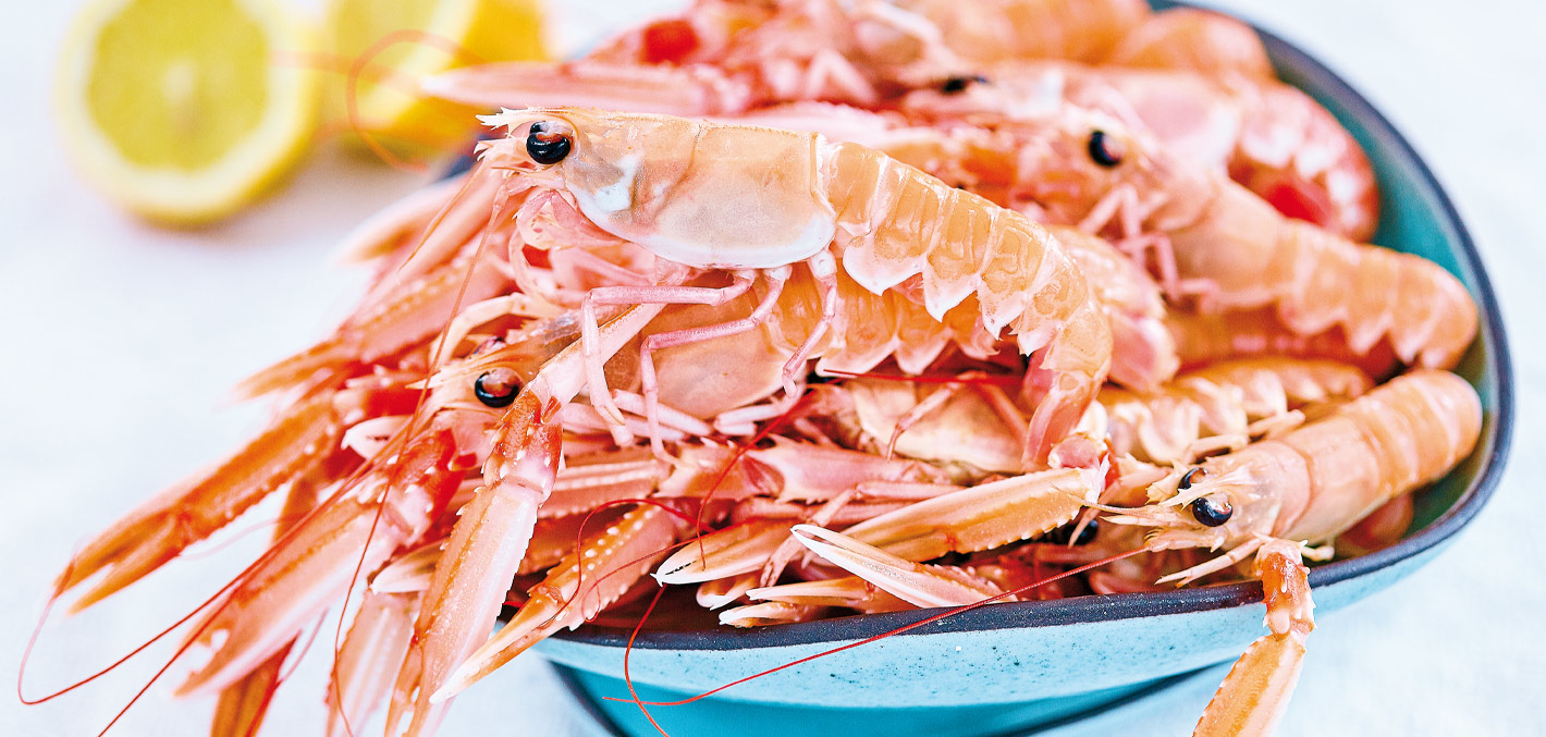 header blue food wieringen